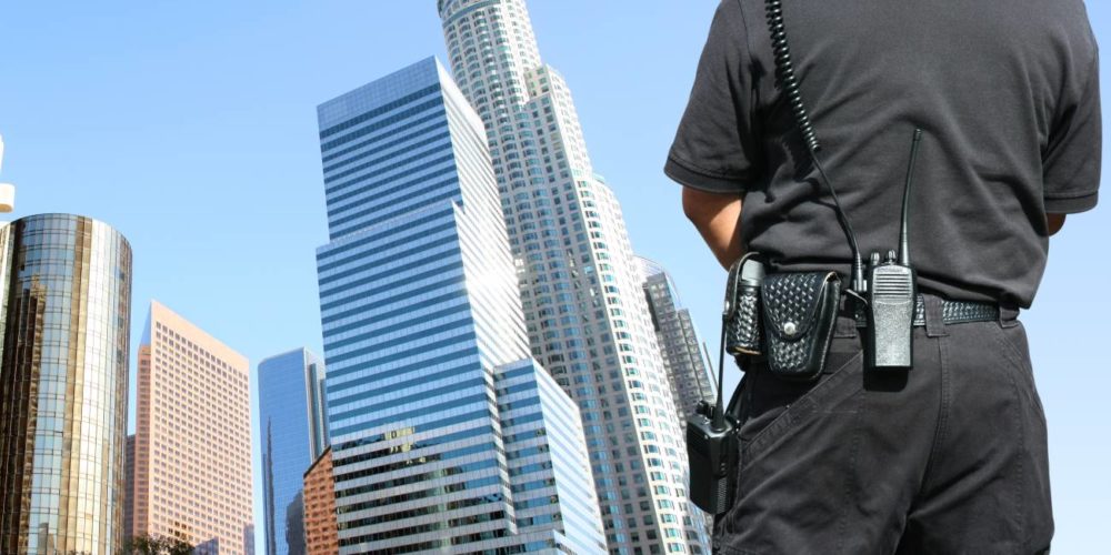 Security Guard looking over the city.