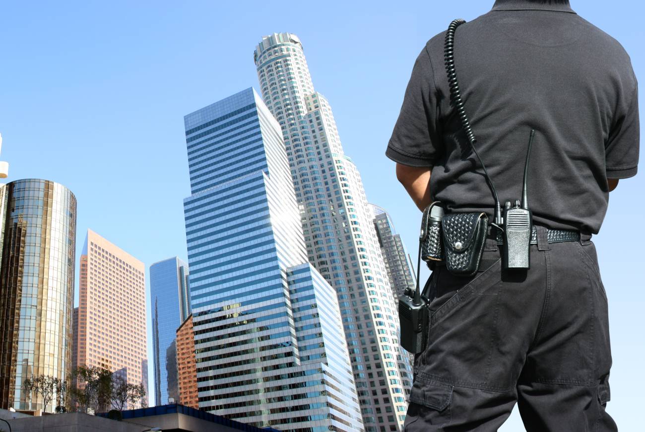 Security Guard looking over the city.